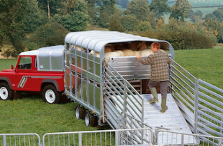 DP120 Livestock Trailer